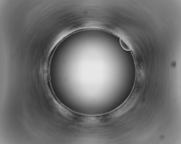 X0000102351101200808011158