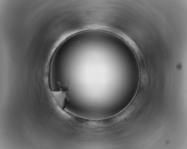 X0000102351102200808011158