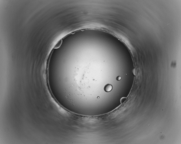 X0000102351103200808011158