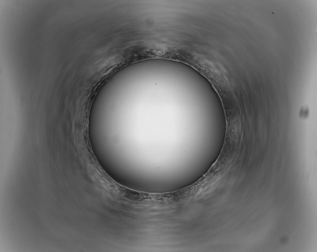 X0000102351105200808011157