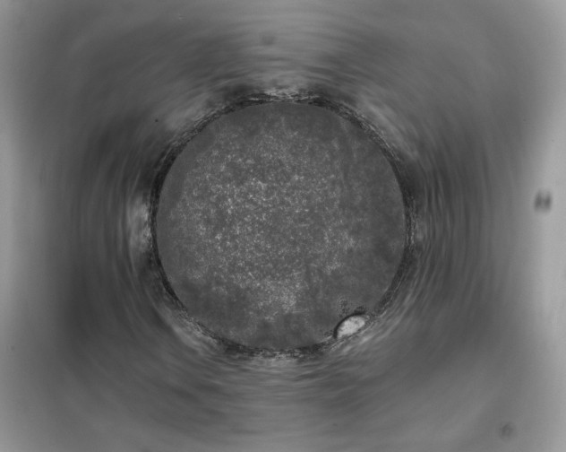 X0000102351106200808011157