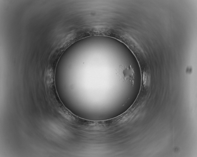 X0000102351107200808011157