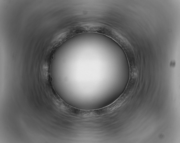 X0000102351108200808011157