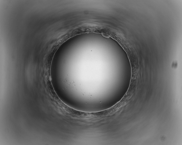 X0000102351109200808011157