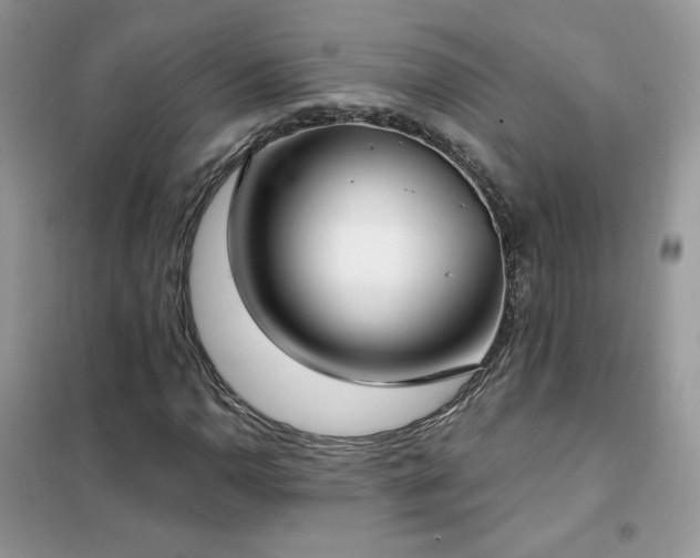 X0000102351110200808011157