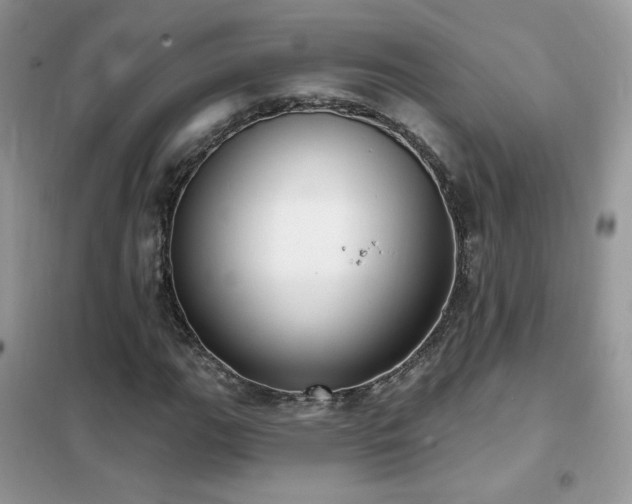 X0000102351111200808011157