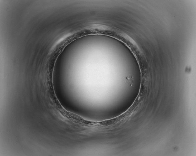 X0000102351112200808011157