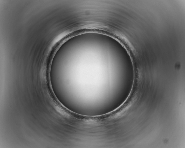 X0000102351114200808011157