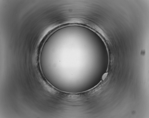 X0000102351116200808011157