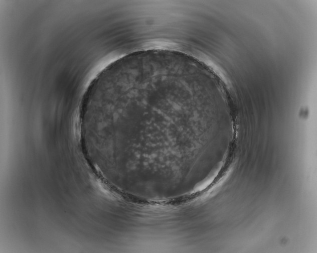 X0000102351117200808011157