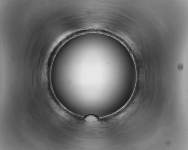 X0000102351118200808011157