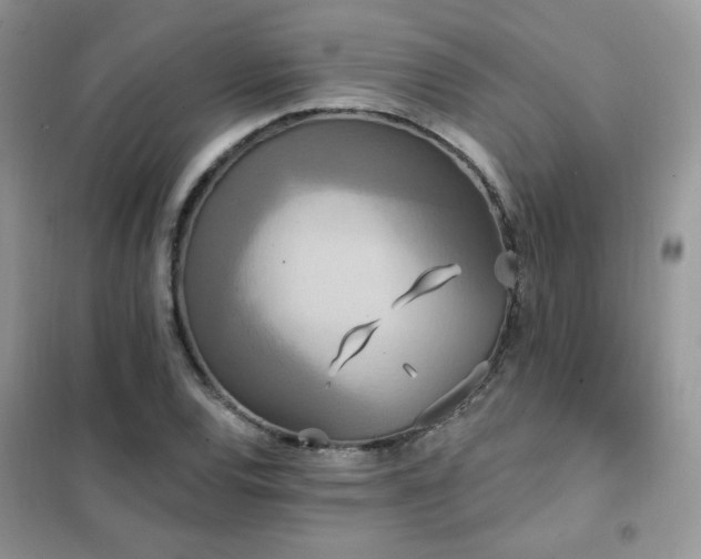 X0000102351120200808011157