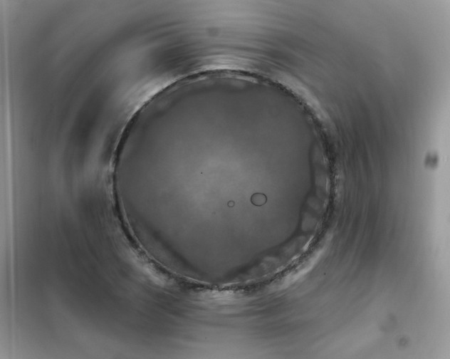 X0000102351121200808011157