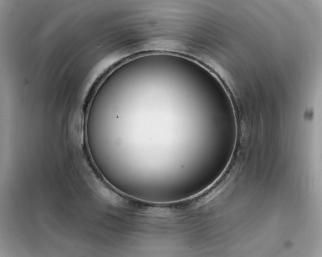 X0000102351123200808011157