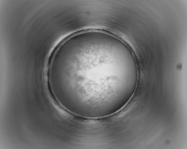 X0000102351124200808011157