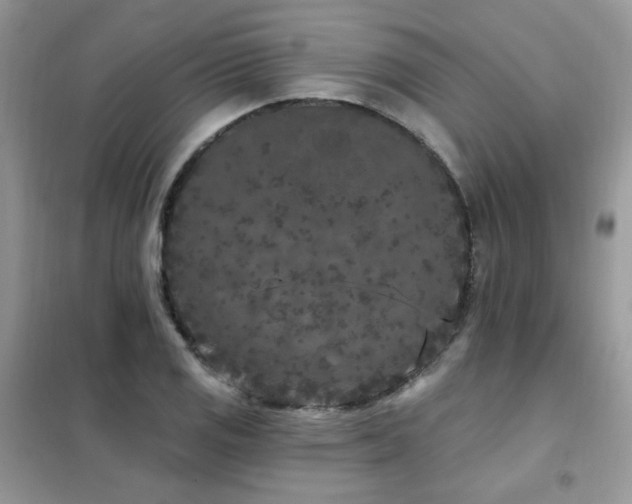 X0000102351125200808011157