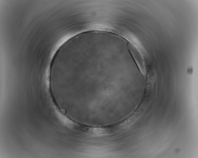 X0000102351128200808011157