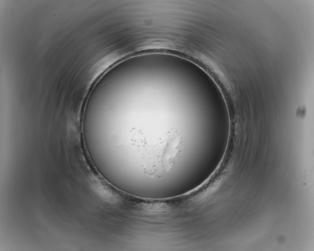 X0000102351129200808011157