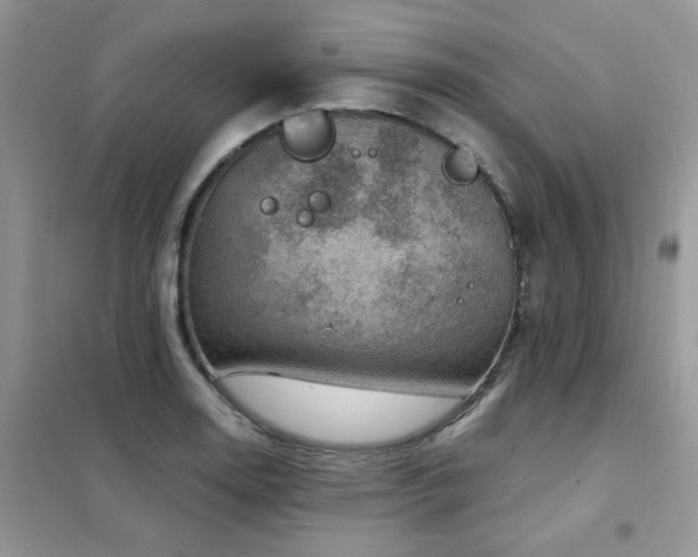 X0000102351130200808011157