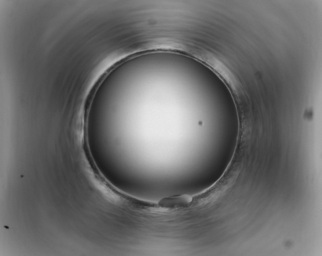 X0000102351132200808011158