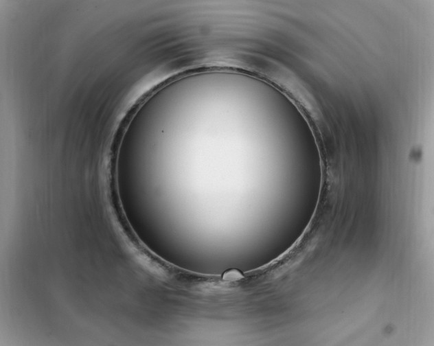 X0000102351133200808011158