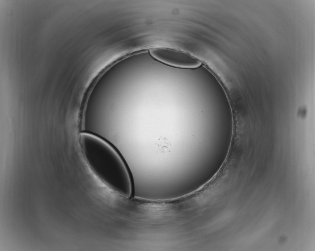 X0000102351134200808011158