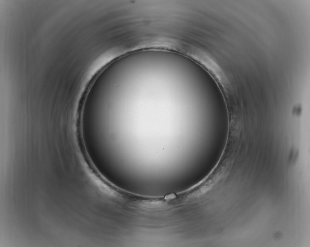 X0000102351135200808011158