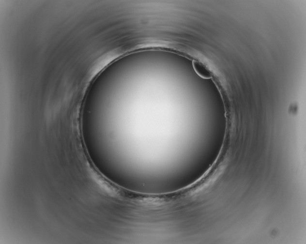 X0000102351137200808011158