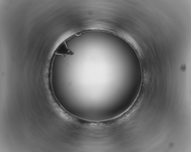 X0000102351138200808011158