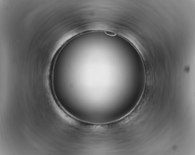 X0000102351139200808011158