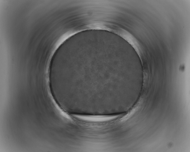 X0000102351141200808011158