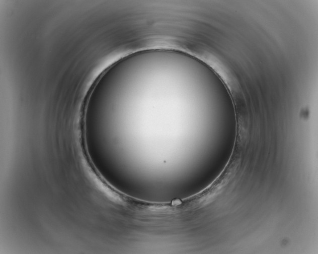 X0000102351142200808011158