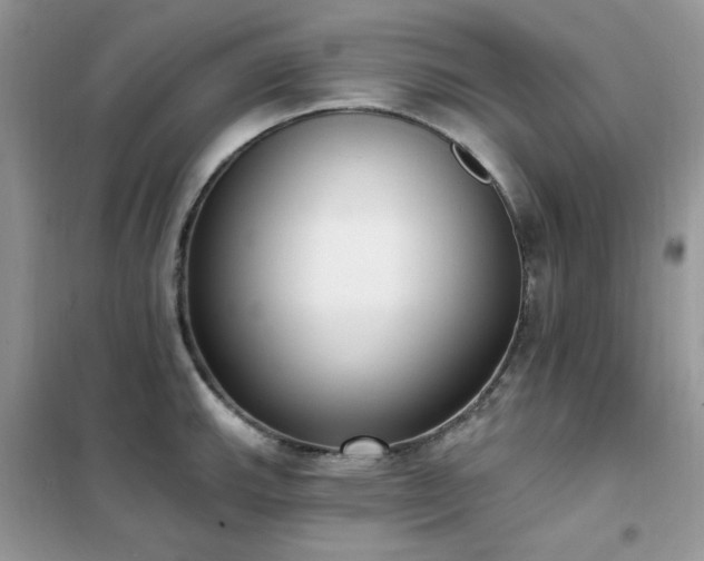 X0000102351143200808011158