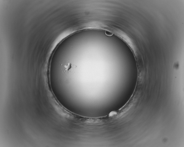 X0000102351146200808011158