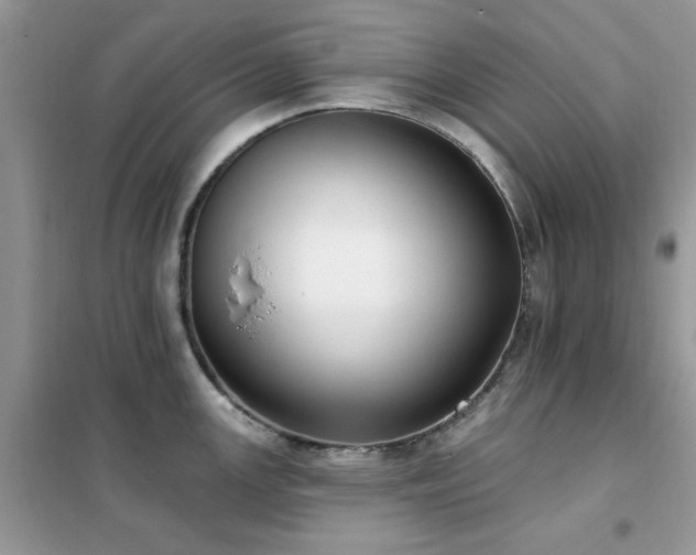 X0000102351147200808011158