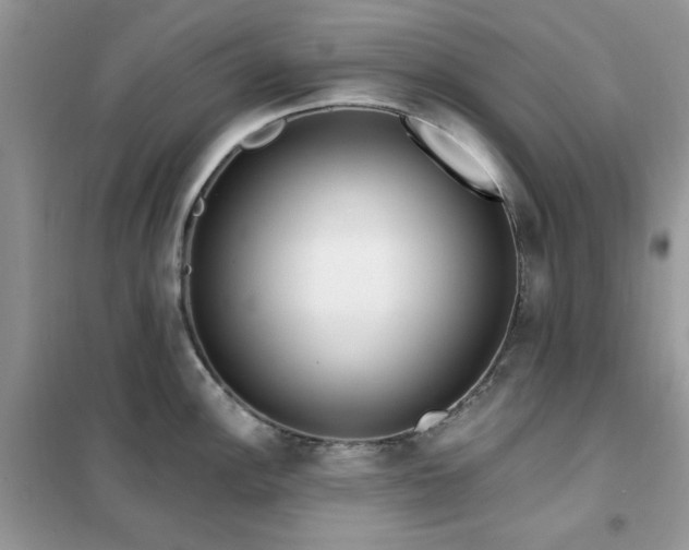 X0000102351148200808011158