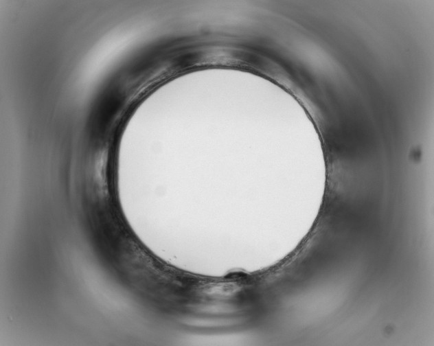 X0000102351150200808011158