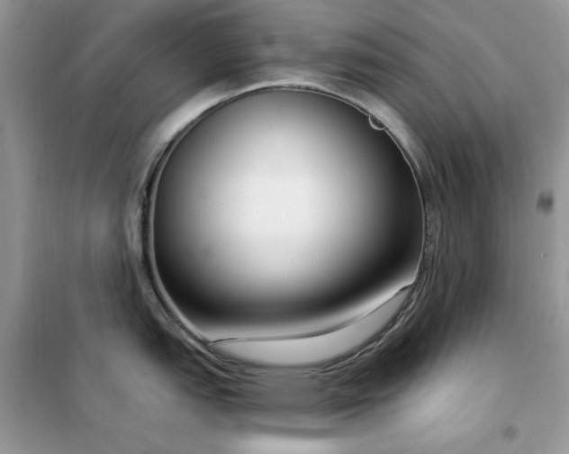 X0000102351151200808011158