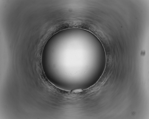 X0000102351153200808011157