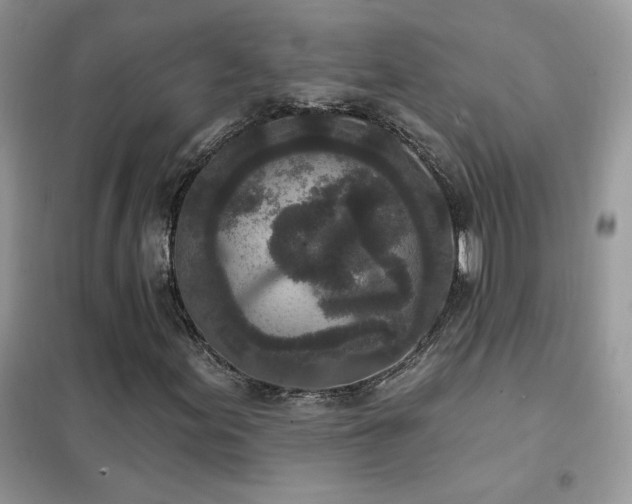 X0000102351155200808011157