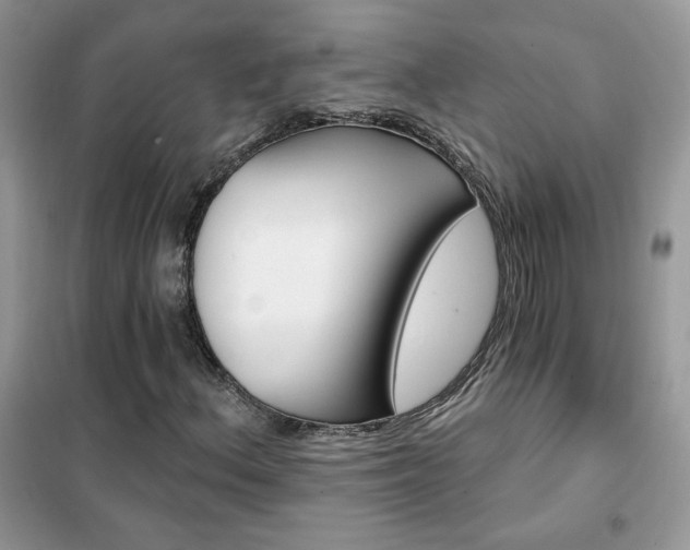 X0000102351156200808011157