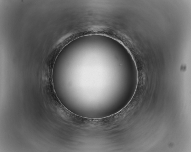 X0000102351158200808011157