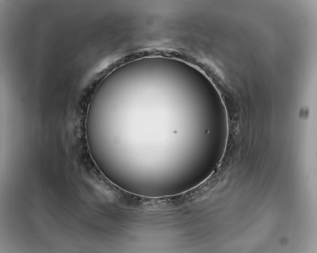 X0000102351159200808011157