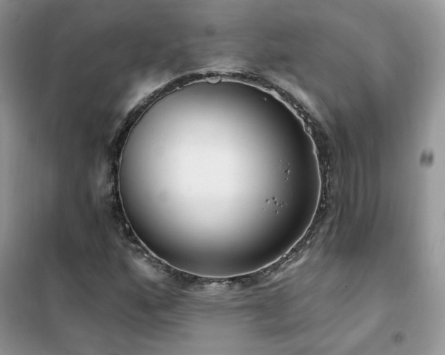 X0000102351160200808011157