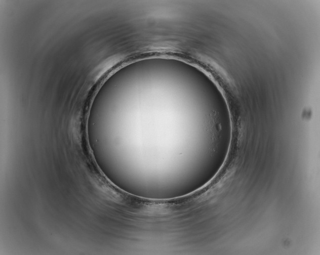 X0000102351162200808011157