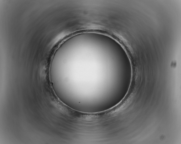 X0000102351163200808011157