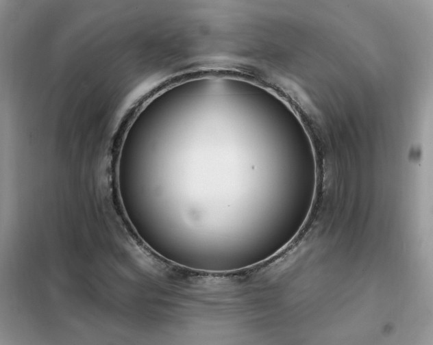 X0000102351164200808011157