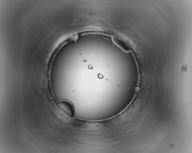 X0000102351168200808011157