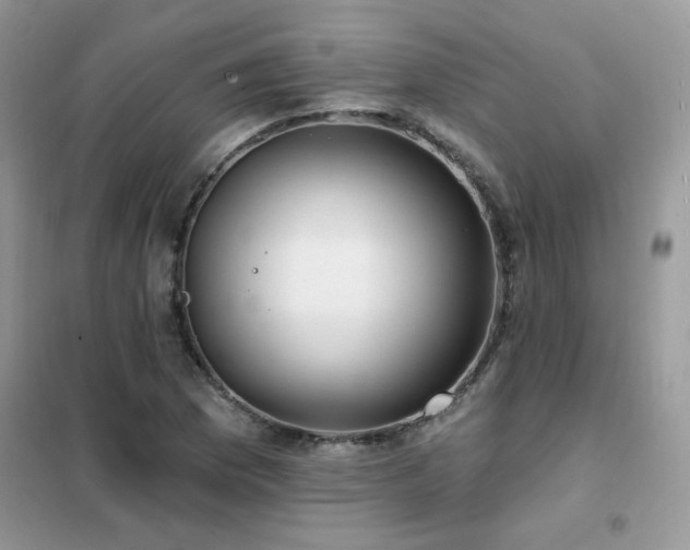 X0000102351169200808011157