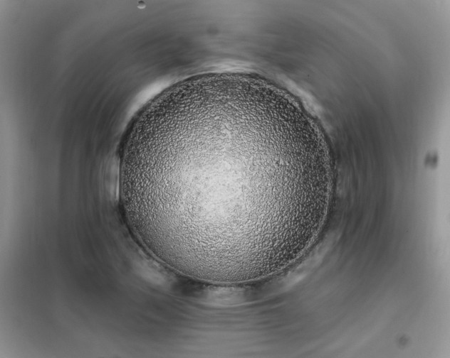 X0000102351171200808011157